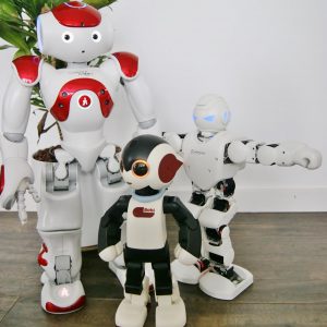 Auf dem Bild sind drei Roboter von Play&Code zu sehen