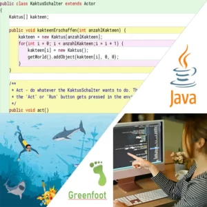 Kinder lernen Programmieren mit dem Java & Greenfoot Folgekurs